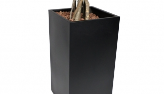 Dekoratiivtaim Ficus