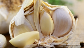 Garlic press - Handles with plastic insert