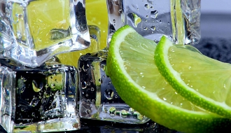Mojito plastic pestle