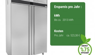 Tiefkühlschrank - 1,4 x 0,81 m - 1400 Liter - mit 2 Edelstahltüren