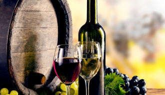 Wine Fridge 400 liters - with 1 glass door